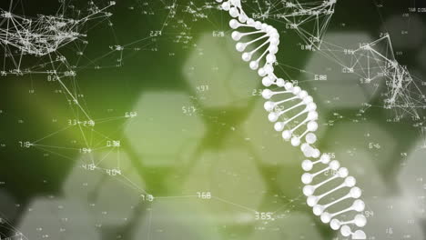 어두운 배경에서 dna 줄무와 데이터 처리의 애니메이션