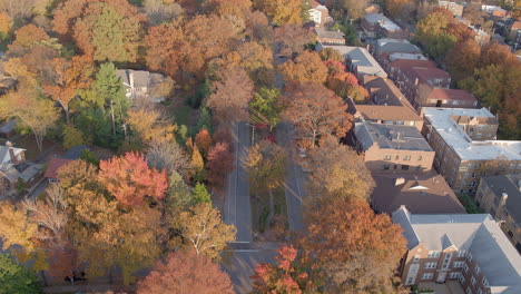 aerial push down wydown boulevard with houses and apartment buildings and cars on the street on a beautiful autumn day with trees at peak color