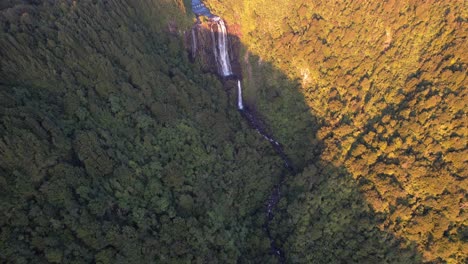 Above-Densely-Forest-Trees-At-Wairere-Falls-In-North-Island,-New-Zealand