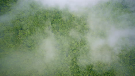 fog dances through the valleys in this drone shot of the smokies