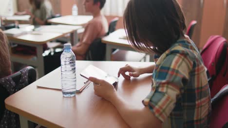 pupils on class in school