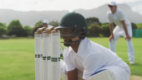 Jugador-De-Cricket-Atrapando-La-Pelota-Y-Destruyendo-Los-Sellos