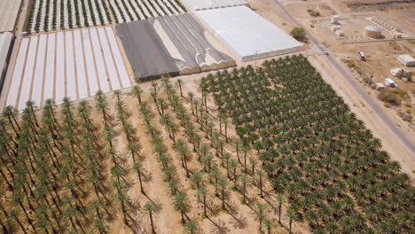 aerial shot of arava desert in israel overlooking agriculture fields