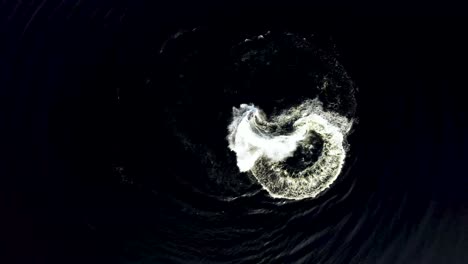 top down view of someone riding a watercraft.