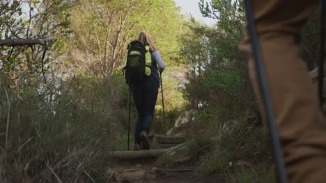 pareja de ancianos activos haciendo senderismo en el bosque