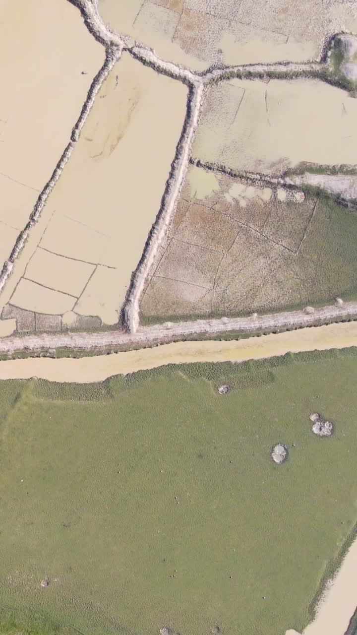 Asian agricultural fertile land in dry season with geological pattern