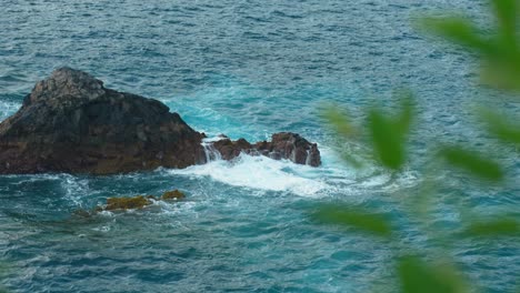 water-waves-crashing-into-rocks-at-the-surface-of-the-seas-of-Canary-Island,-Tenerife,-with-tree-leaves-in-the-foreground,-static