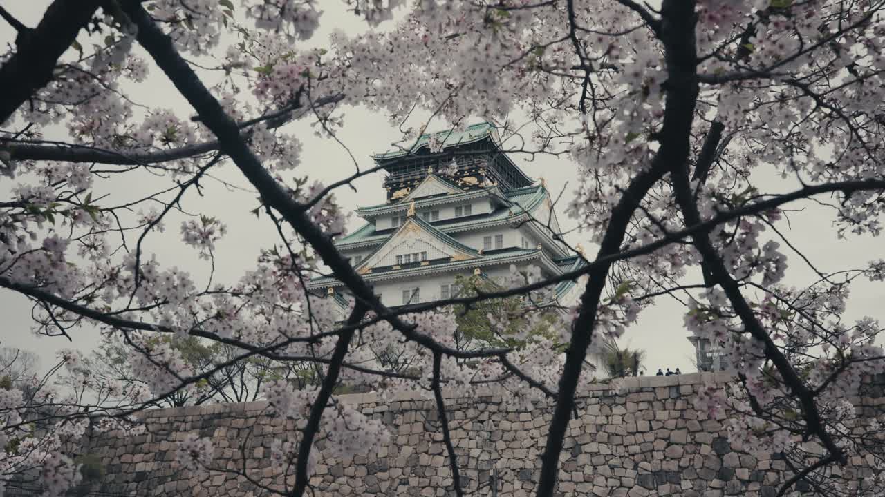 el castillo de osaka a través de las ramas de los cerezos en primavera en osaka, japón