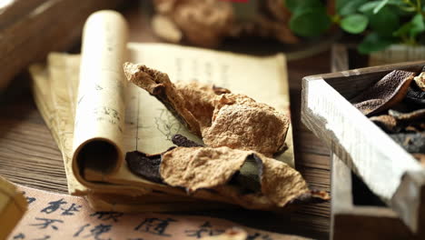 a closeup view of apocathery doctor working classification and preparation with herb and species mushroom anise turmeric in a table for traditional medicine advertising