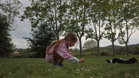 Niña-Recogiendo-Flores-En-Un-Prado-Mientras-El-Perro-De-La-Familia-La-Cuida