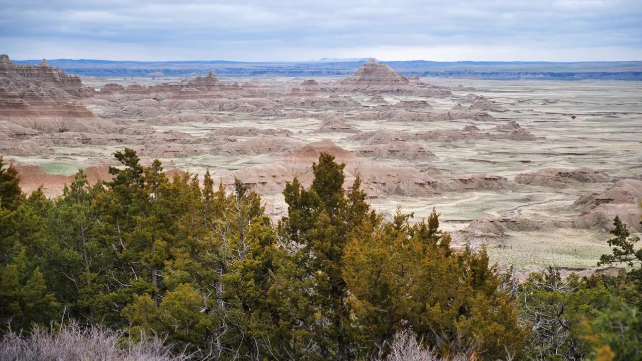 Näkymä Badlands National Parkiin Etelä-Dakotassa, Yhdysvalloissa, etualalla tuulessa huojuvia puita. Sedimenttikivikerrokset ovat näkyvissä kaikkialla.