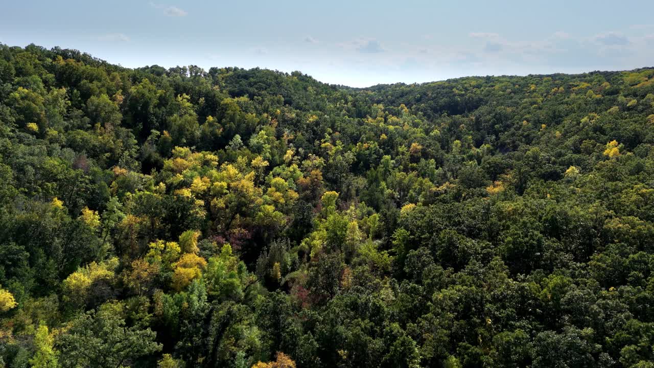 Drone footage of a lush valley forest with trees shifting from green to yellow in early autumn. Scenic natural landscape under daylight skies