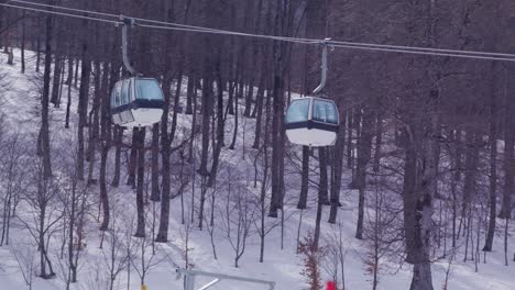 a snowy forest with a ski lift running through the trees