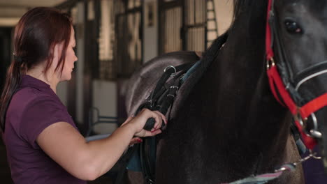 woman grooming a horse in a stable