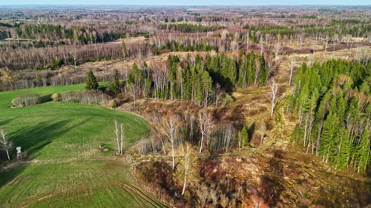 Aerial view over a mixed evergreen and deciduous forest bordering a green meadow