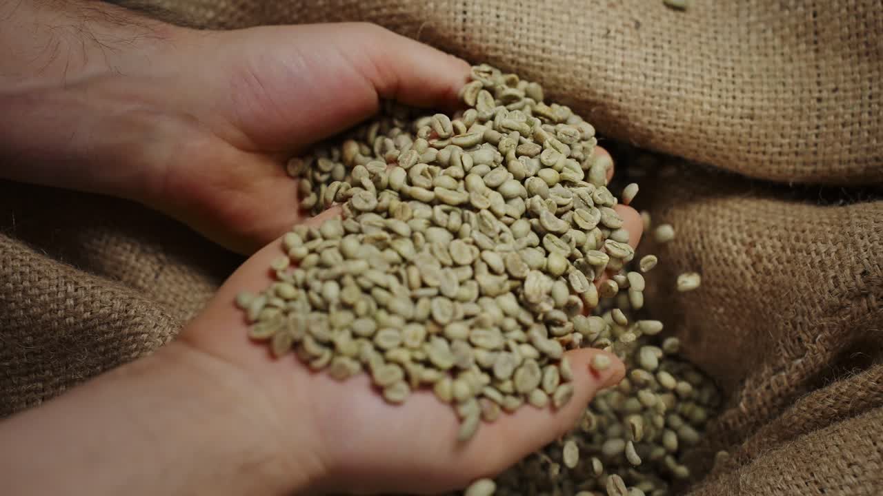 Fagioli di caffè verdi in mano