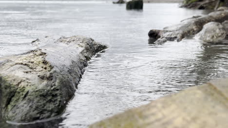 Closeup-shot,raindrops-forming-water-ripples-at-shore-of-calm-Walensee-lake