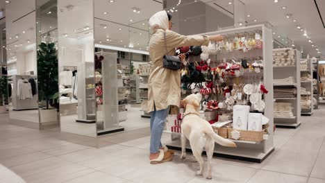 fashionable woman choosing christmas decoration at a pet friendly store with her happy labrador