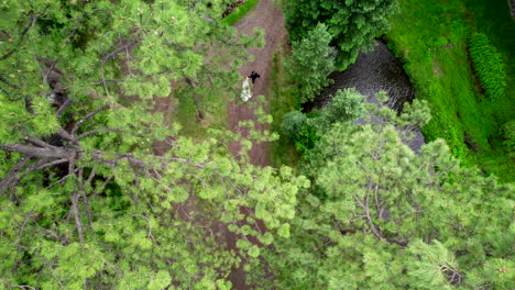 4k aerial drone shot of husband and wife walking through beautiful forest scenery surrounded by ponds and alpine forest trees seen from above birds eye view