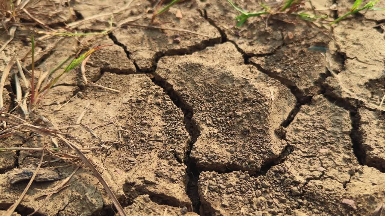 A tracking shot reveals cracked, parched soil, showing the harsh effects of drought and climate change. The few surviving blades of grass reflect nature’s resilience amid arid conditions
