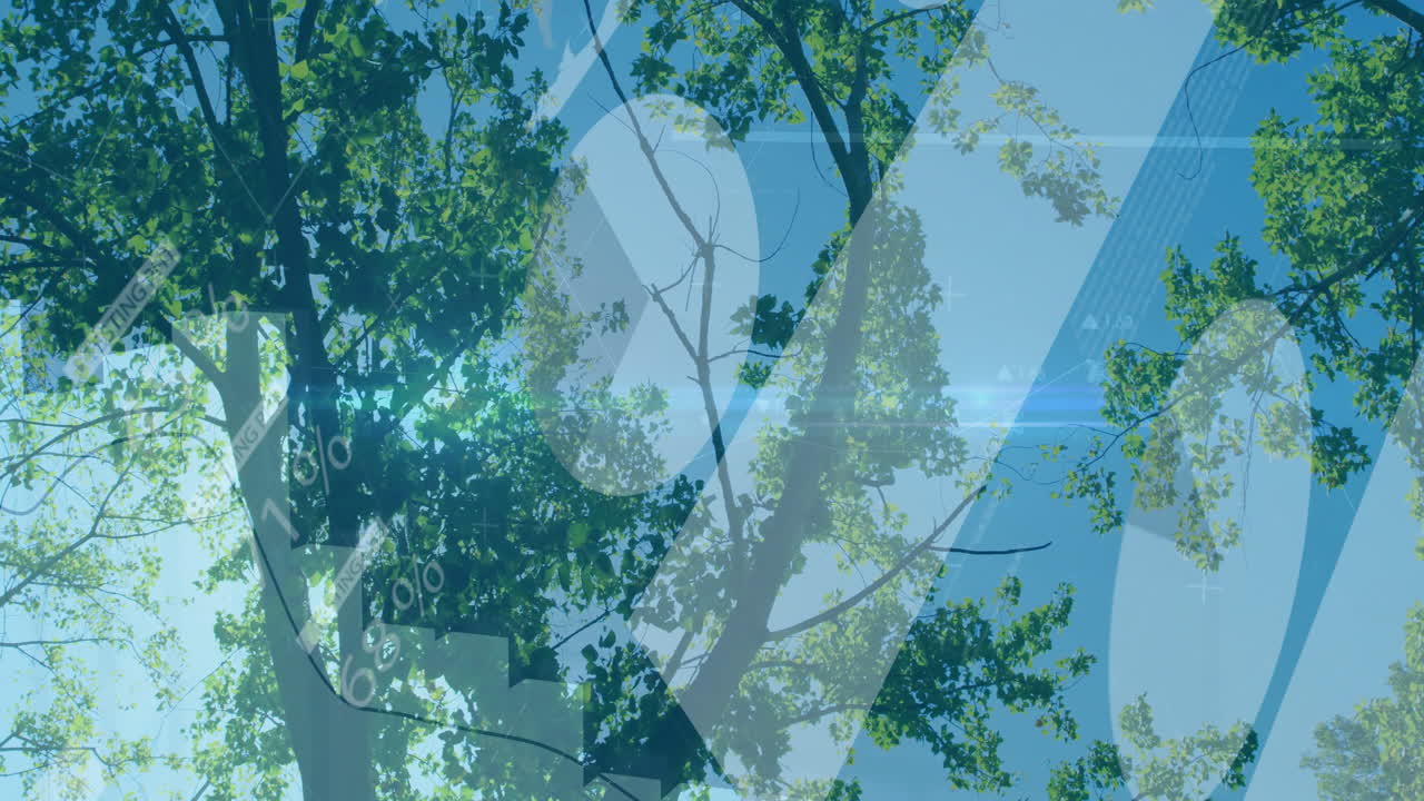 Tree branches and leaves with data processing animation overlaid on blue sky