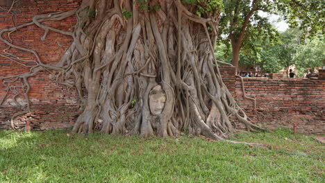 La-Cabeza-De-Buda-En-Las-Raíces-De-Los-árboles-En-Wat-Mahathat-En-Ayutthaya,-Tailandia