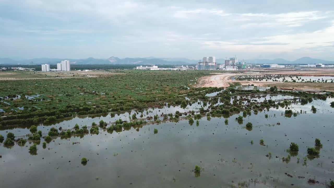 Aerial view mangrove trees and development at the back at Batu Kawan.