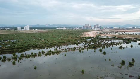 vista aérea de los árboles de mangle y el desarrollo en la parte trasera de batu kawan.