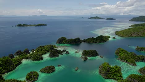 raja ampat aerial de la playa y el arrecife en un día caluroso y soleado