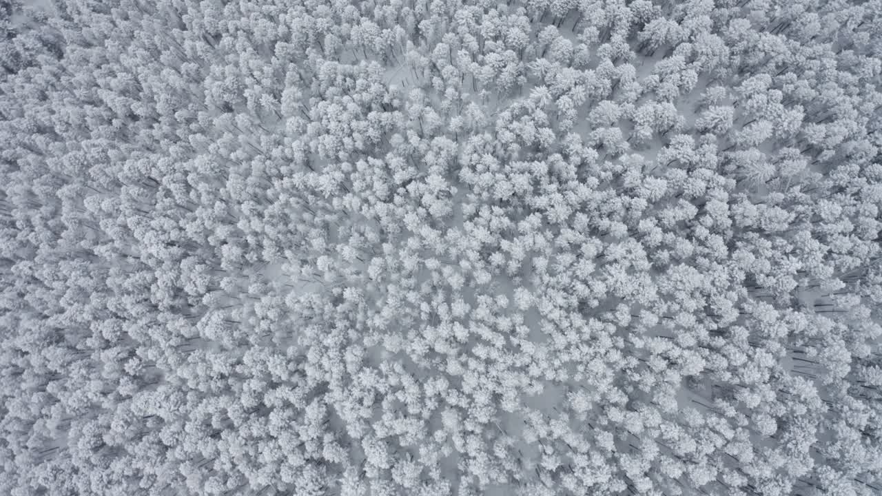 Flying over a trailhead the morning after a big snowstorm