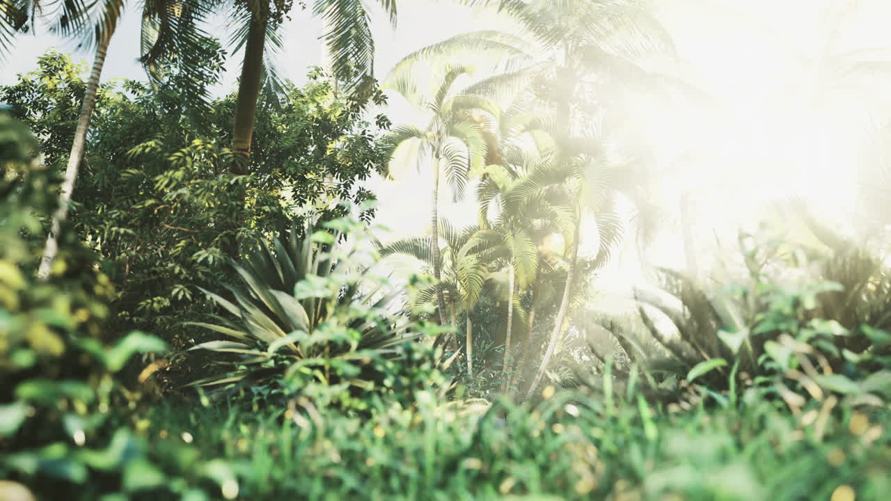 A vibrant tropical landscape features lush greenery and palm trees