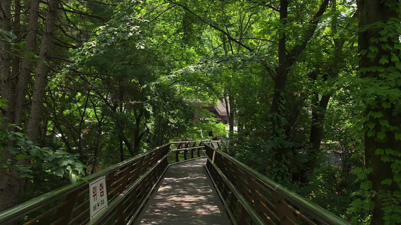 Point-of-view shot moving forward along a raised wooden trail surrounded by lush green trees and dappled sunlight in the tranquil woods of Maninsan Ecological Park