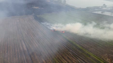 grabación aérea hacia y sobre un pastizal en llamas listo para la agricultura, quema de pastizales, pak pli, nakhon nayok, tailandia