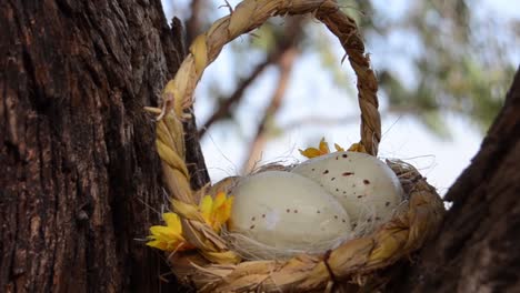 Tema-De-Pascua,-Dos-Huevos-De-Codorniz-En-La-Canasta-Con-Flores-Amarillas-Entre-Los-árboles