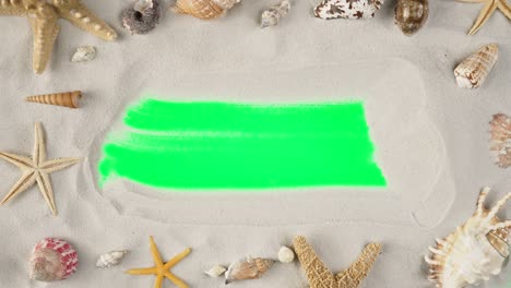la mano del hombre está limpiando la arena demostrando el área de publicidad, el espacio de trabajo simulado. fondo de mar de arena con conchas y estrellas de mar para vacaciones o publicidad de viajes. cerca
