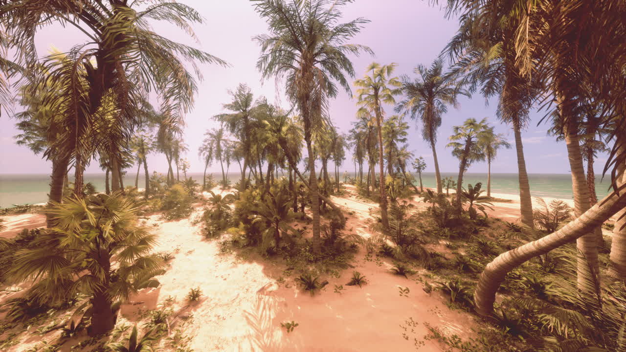 Tropical Beach Paradise with Palm Trees and Blue Sky