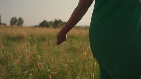 close up rear view of woman in green dress walking through tall dry grass during warm daylight moment, softly brushing fingertips along field stems in peaceful countryside setting