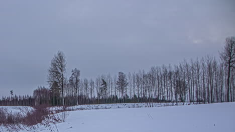 Time-lapse-shot-of-golden-sunset-over-snowy-woodland-and-dark-clouds-covering-sky-in-the-evening