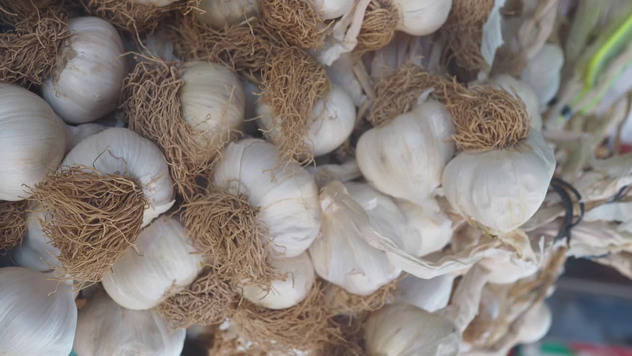 마늘 머리 어리