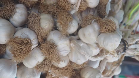 pile of garlic heads