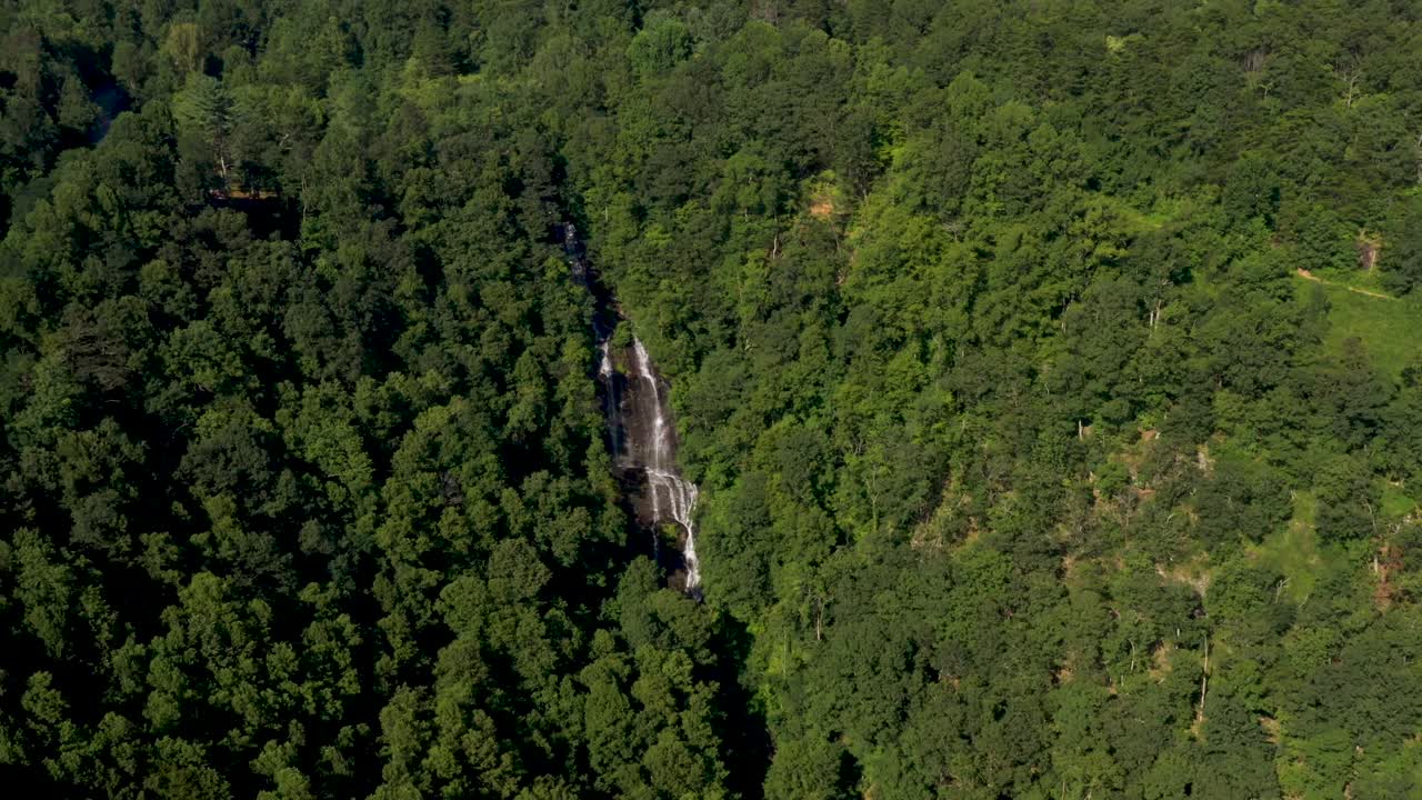 vista aérea de un gran pájaro volando sobre una cascada en los bosques de georgia
