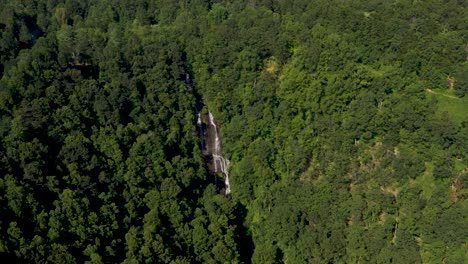 aerial view of large bird flying above waterfall in georgia forests