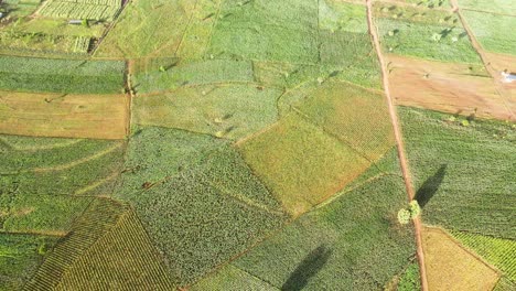 Granja-Tierras-De-Cultivo-Paisaje-Rural