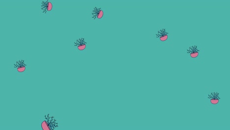 Animation-Der-Illustration-Von-Zimmerpflanzen-In-Rosa-Töpfen,-Die-Auf-Blauen-Hintergrund-Fallen