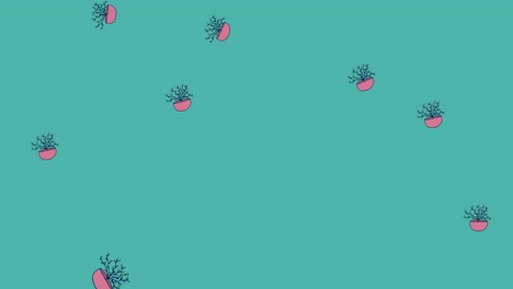 animation of illustration of houseplants in pink pots falling on blue background