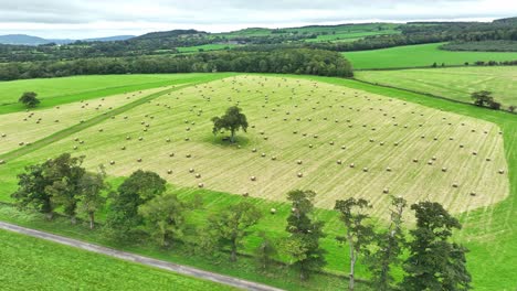 Campo-Aéreo-Con-Fardos-Redondos-En-Waterford,-Irlanda,-En-Un-Cálido-Día-De-Septiembre