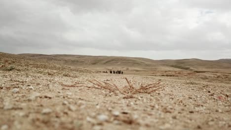 Member-of-First-Army-soldiers-walk-practicing-war