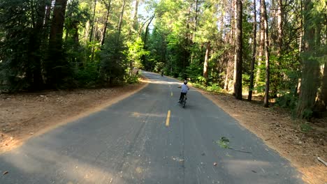 paseos en bicicleta de verano en el parque nacional de yosemite, estados unidos