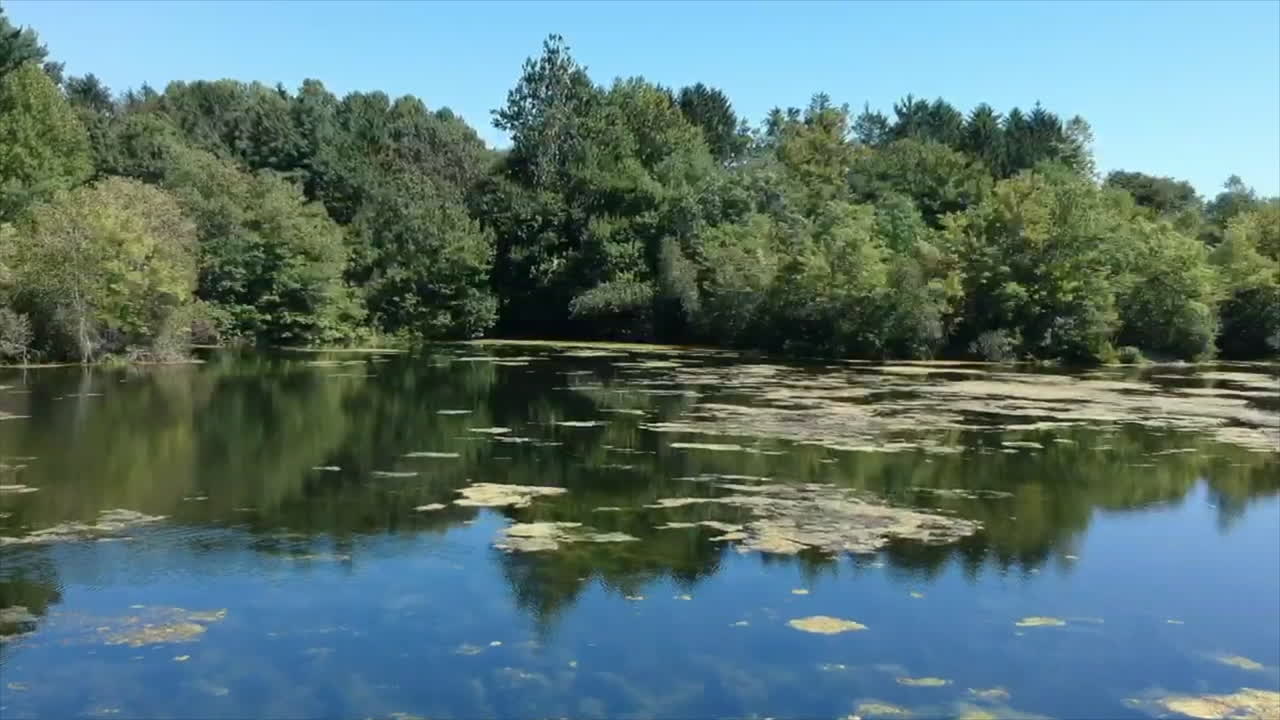 Dron přelétávající nad rybníkem.