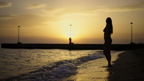 silhouette of a woman on the beach at sunset